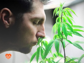 Детоксикация от марихуаны в Тбилисской